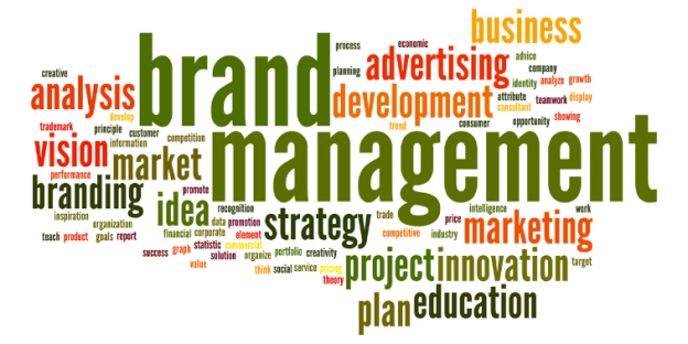 What Is Brand Management? Needs, Strategies, Working by Examples