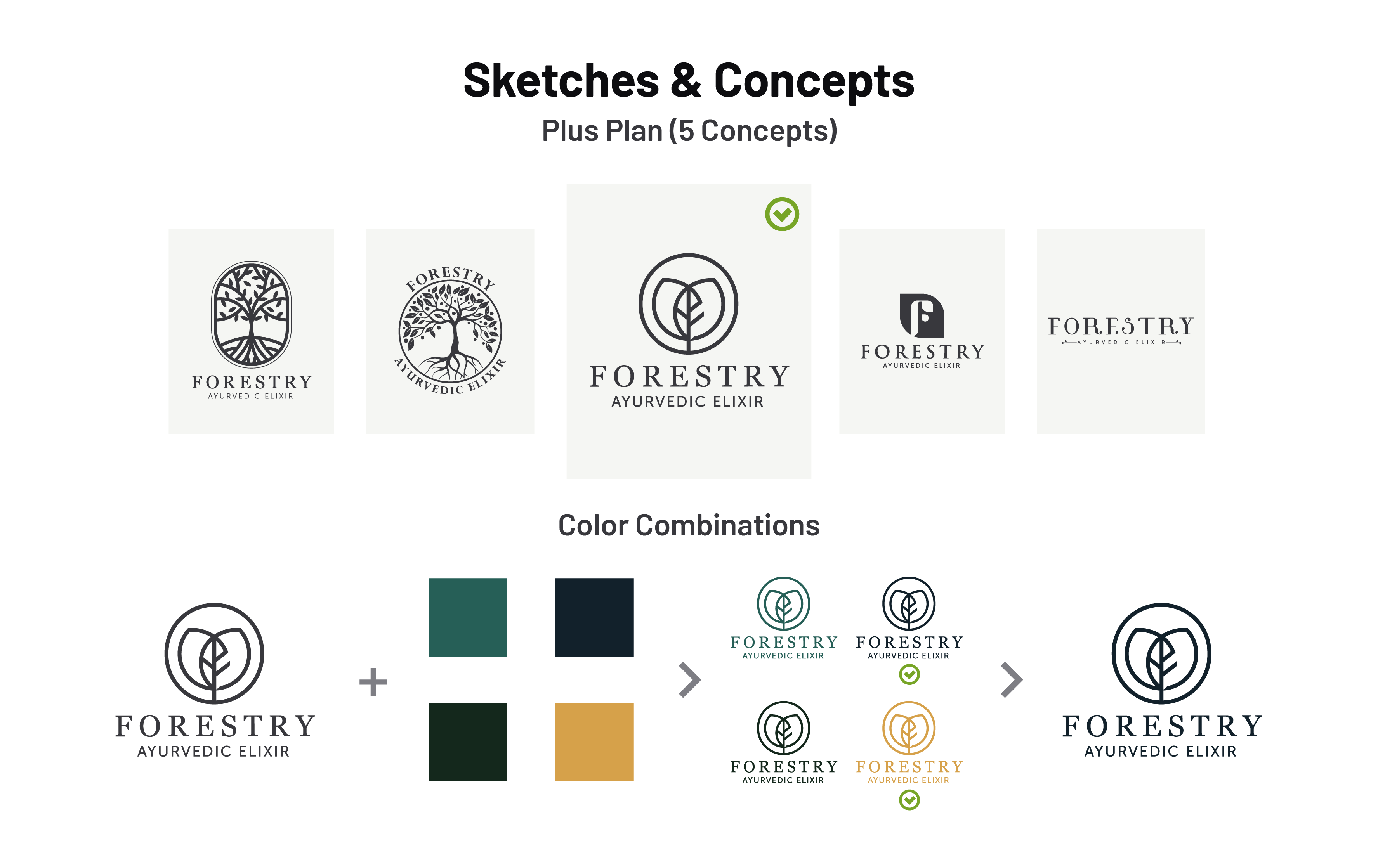 Ricky Chopra Logo Design Concepts