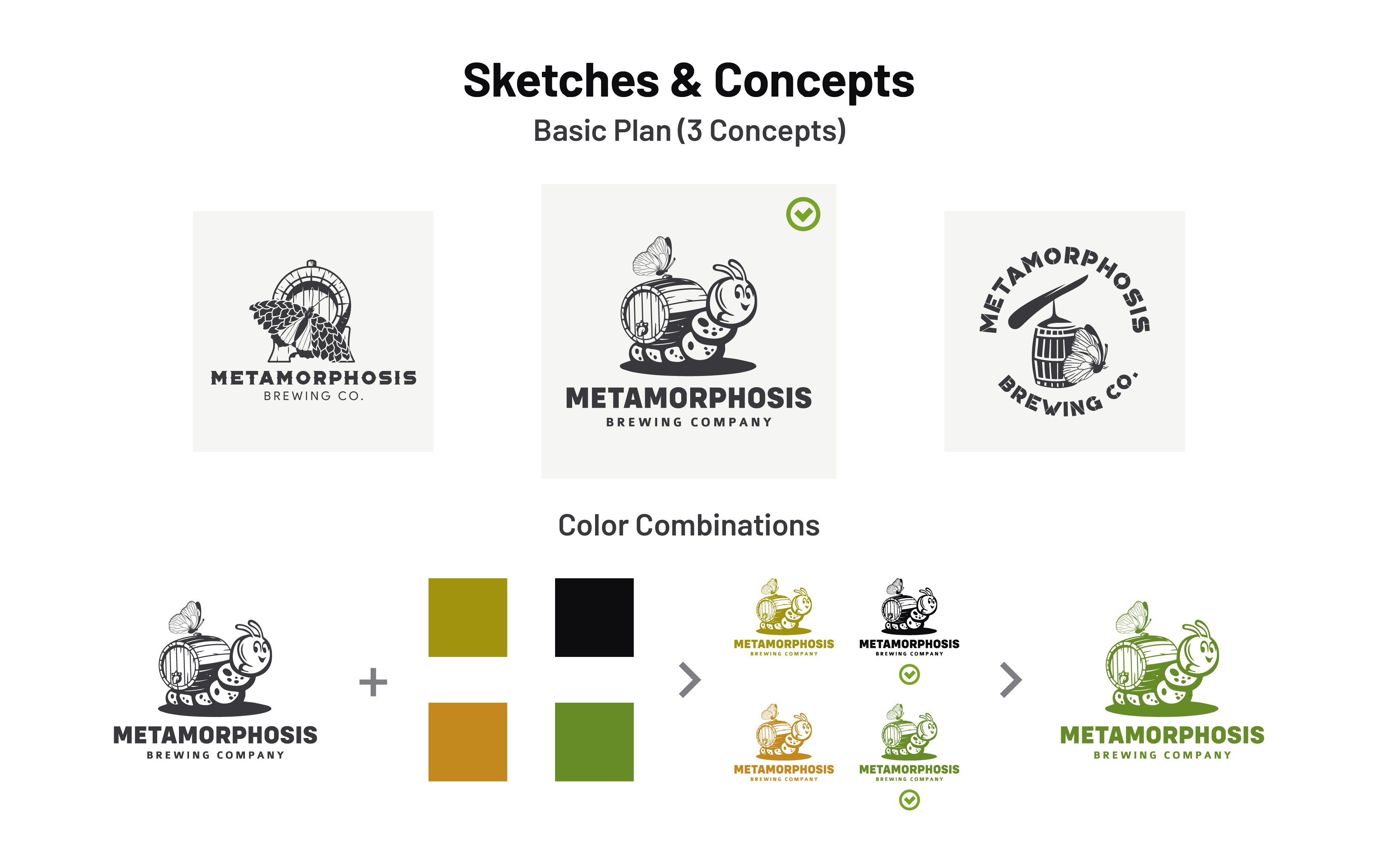 Ricky Chopra Logo Design Concepts