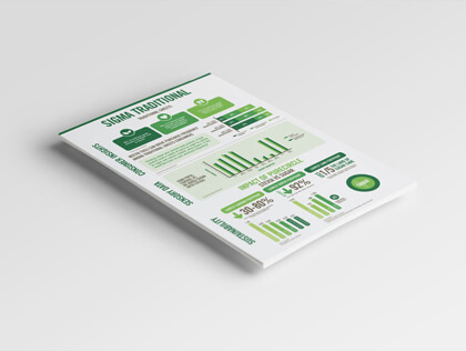 infographic Designing Services