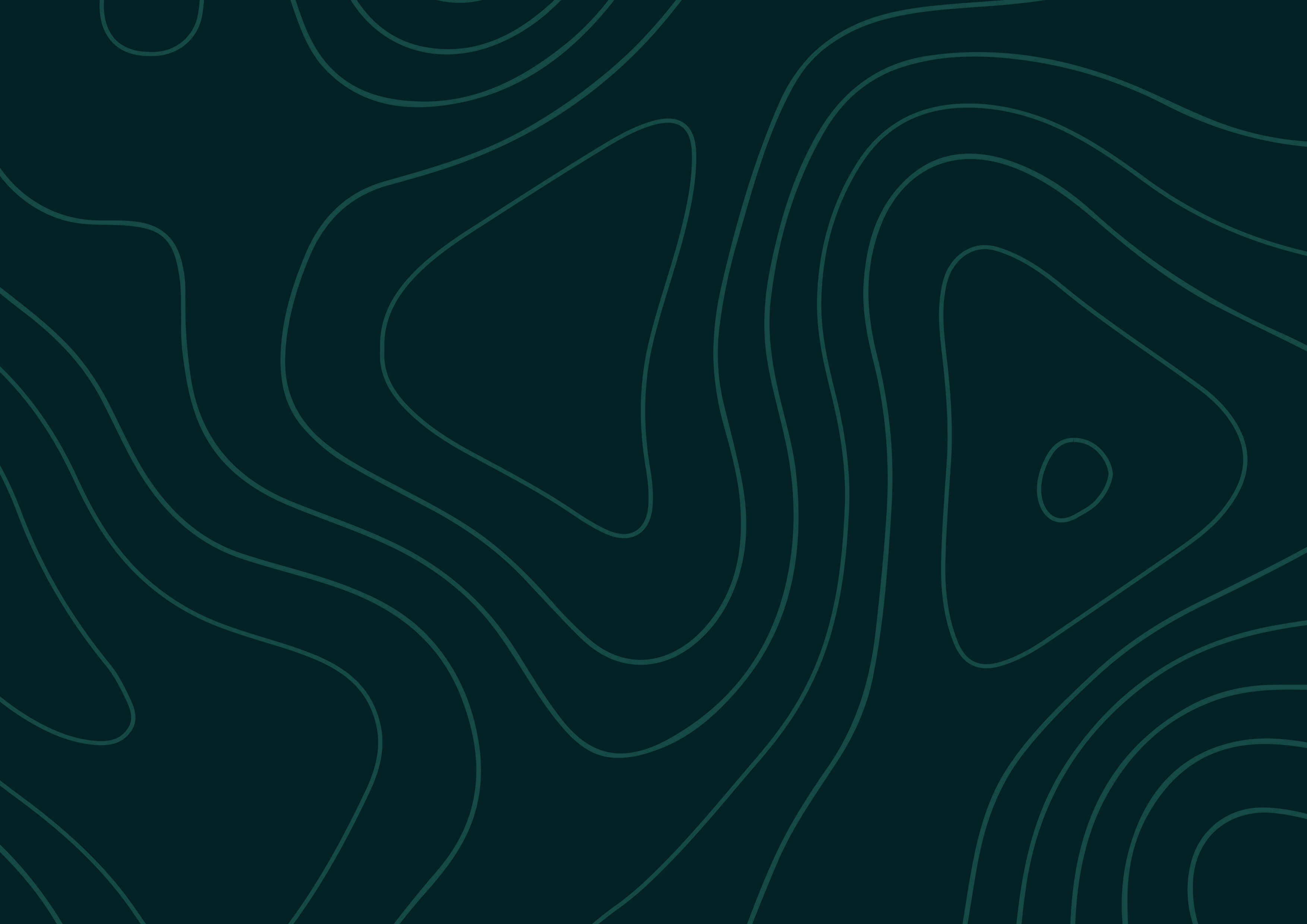 Brand Guidlines